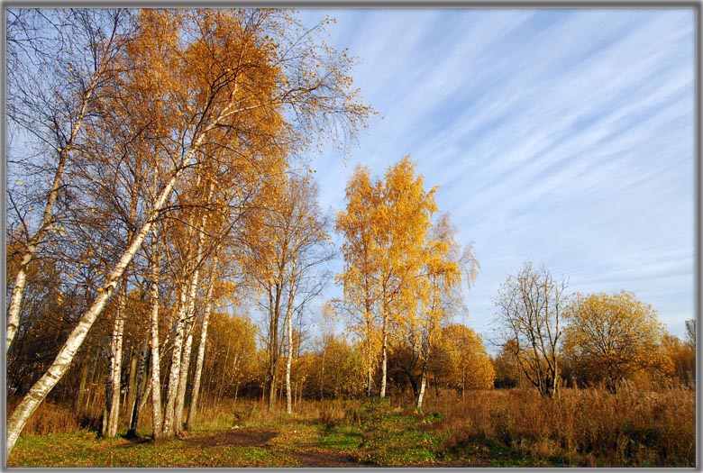 фото "еще тепло .." метки: пейзаж, лес