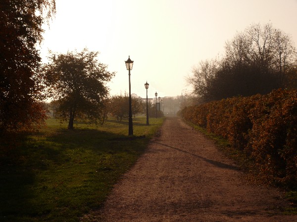 photo "***" tags: landscape, autumn