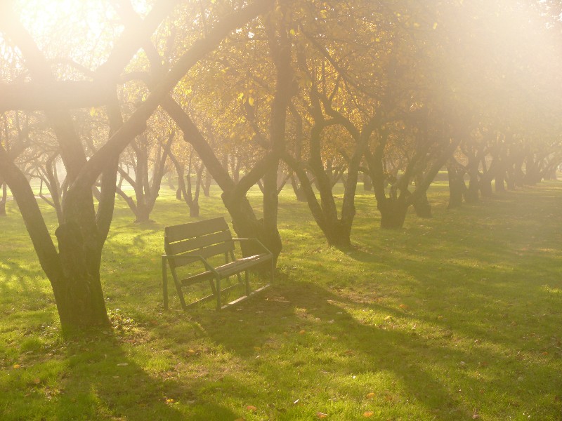 photo "***" tags: landscape, autumn