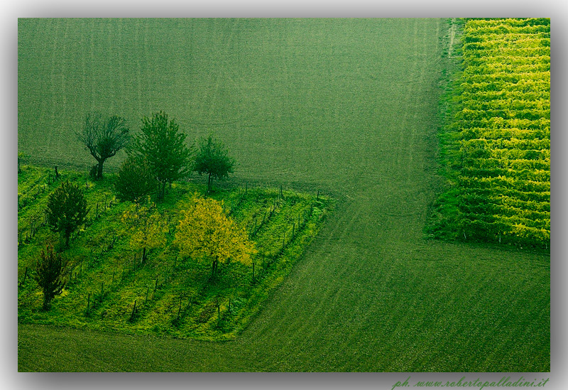 фото "Green Monferrato" метки: пейзаж, 