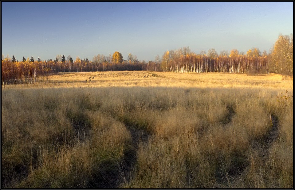 photo "Fields of Oktober" tags: landscape, autumn