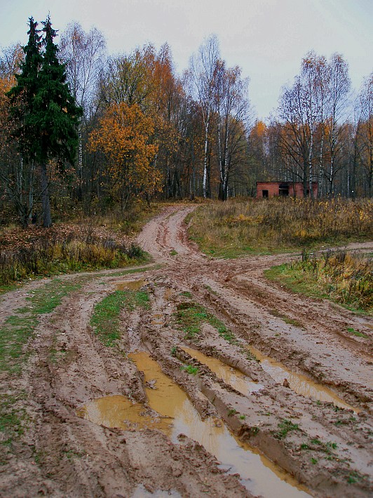 фото "Куда пойти, куда податься.?.." метки: пейзаж, юмор, осень