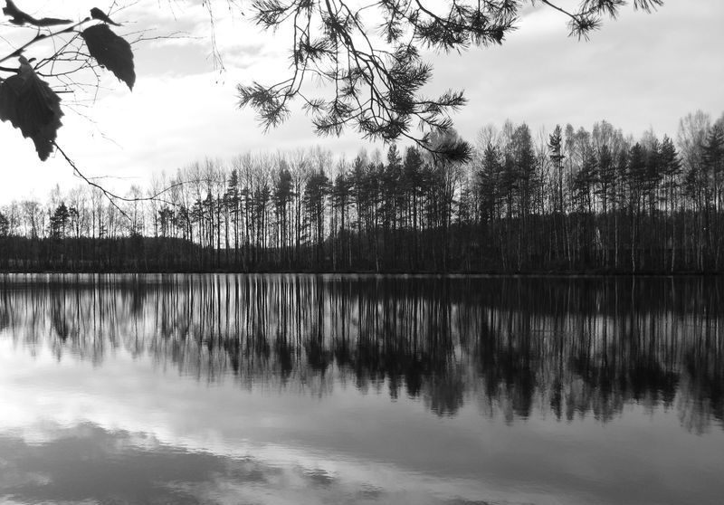 фото "Безмолвная поэзия" метки: пейзаж, вода, лес