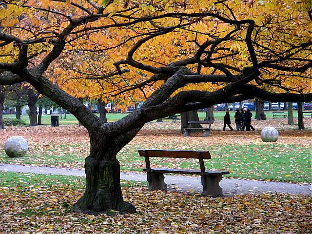 фото "Autumn." метки: репортаж, 