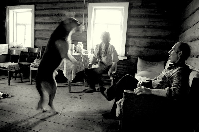 фото "Про чеснок и пулю из серебра" метки: жанр, 