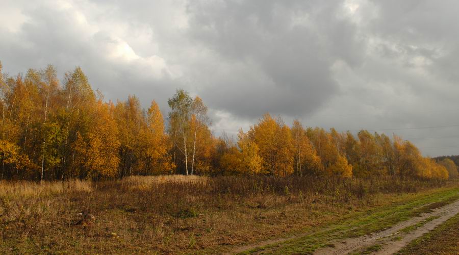 photo "***" tags: landscape, autumn