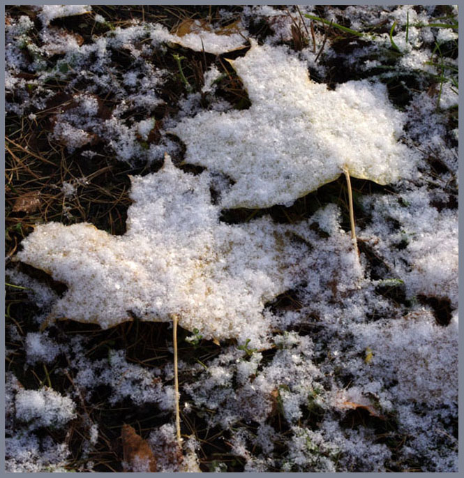 photo "The first snow" tags: landscape, autumn