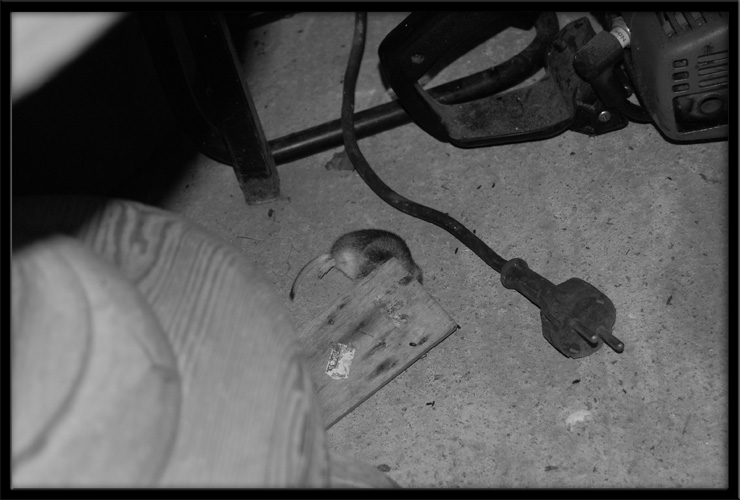 фото "***" метки: , 