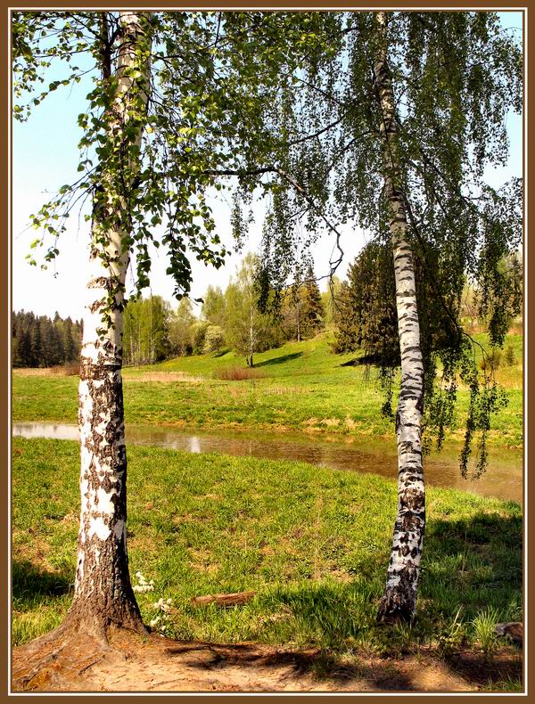 фото "Весна. Абрамцево." метки: пейзаж, 