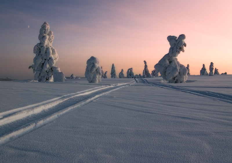 фото "Real snow" метки: путешествия, пейзаж, Европа, зима