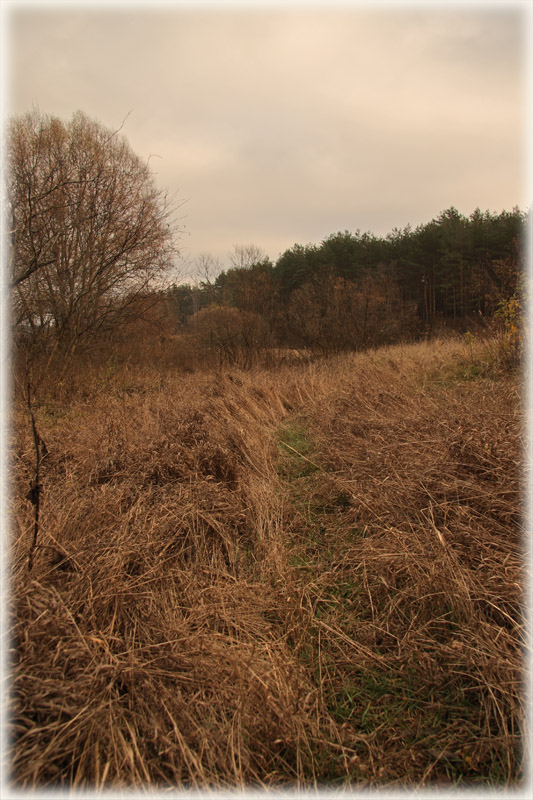 photo "Autumn..." tags: landscape, autumn