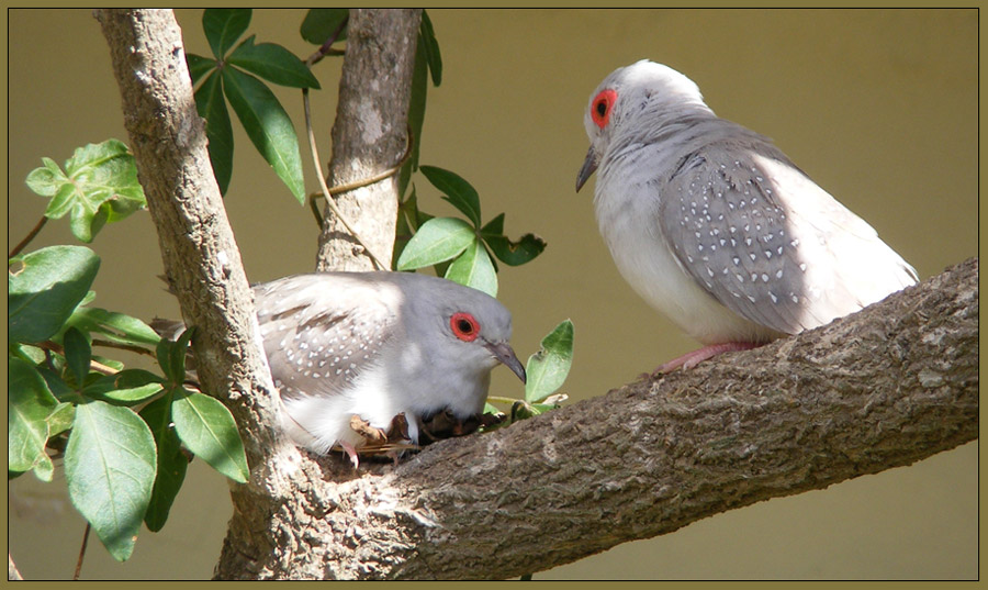 photo "Are you feeling ok?" tags: nature, portrait, wild animals