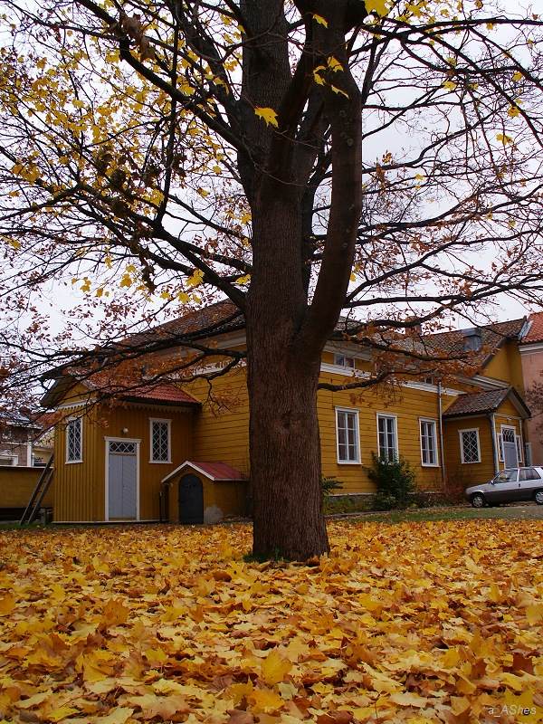 photo "Остатки   Left over" tags: landscape, city, autumn