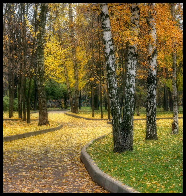 фото "Лисья осень" метки: пейзаж, лес, осень