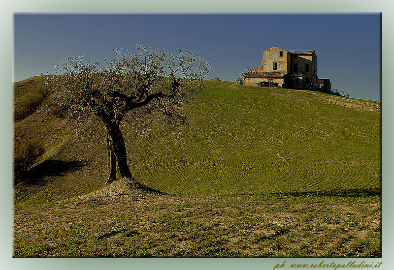 фото "Landscape" метки: пейзаж, горы