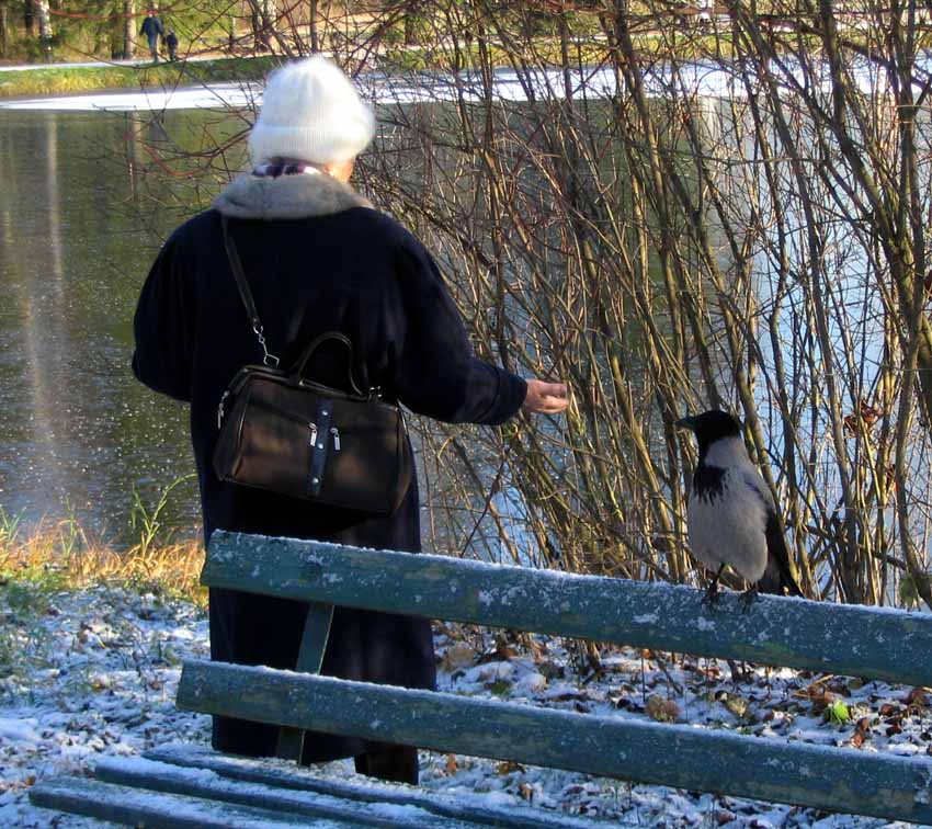 фото "-" метки: жанр, разное, 