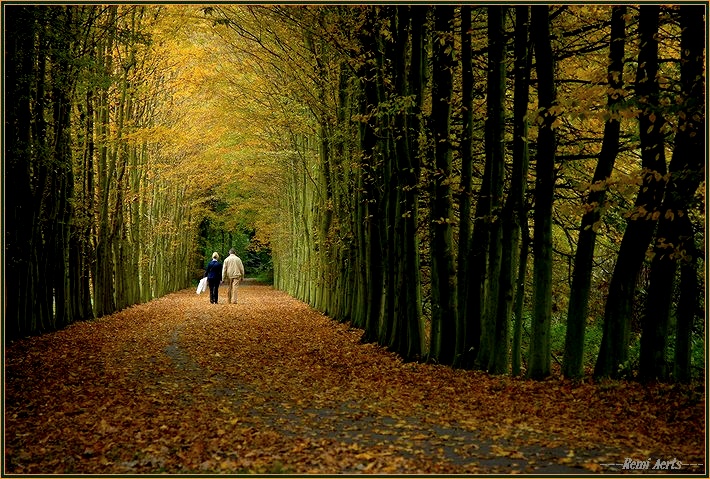 photo "a good walk" tags: landscape, reporting, autumn