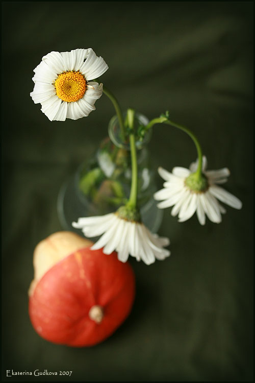 photo "***" tags: still life, 