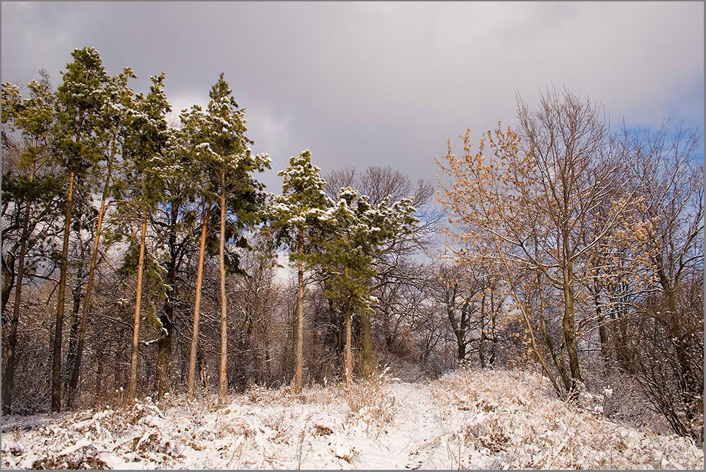 фото "Первый снег..." метки: пейзаж, осень