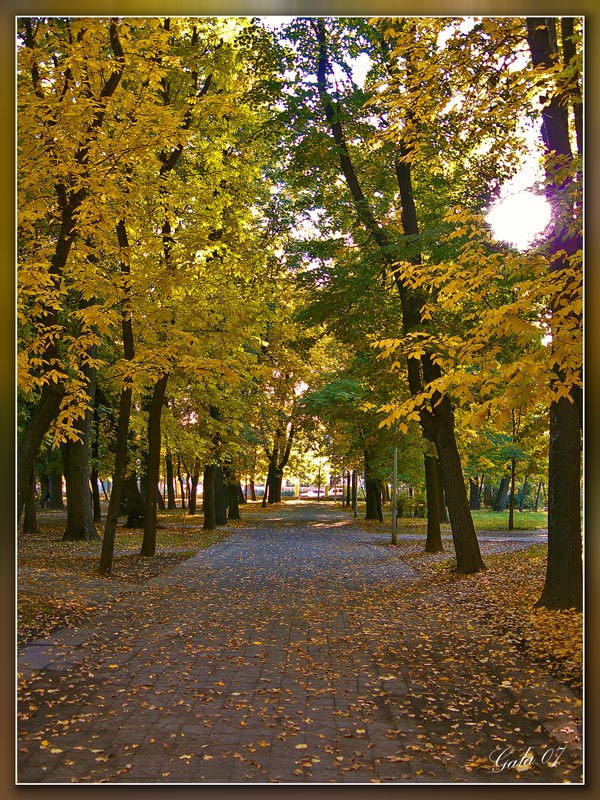 фото "Прогулка" метки: пейзаж, осень