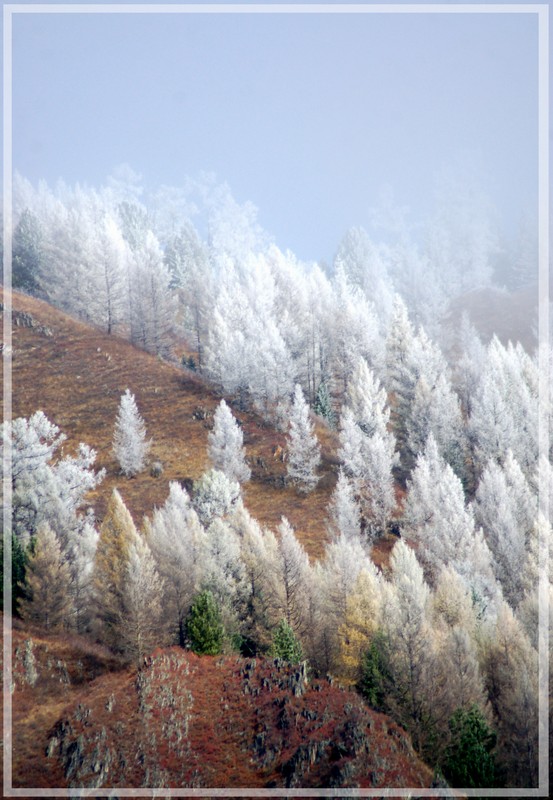 фото "_Перевал_" метки: пейзаж, горы, лес