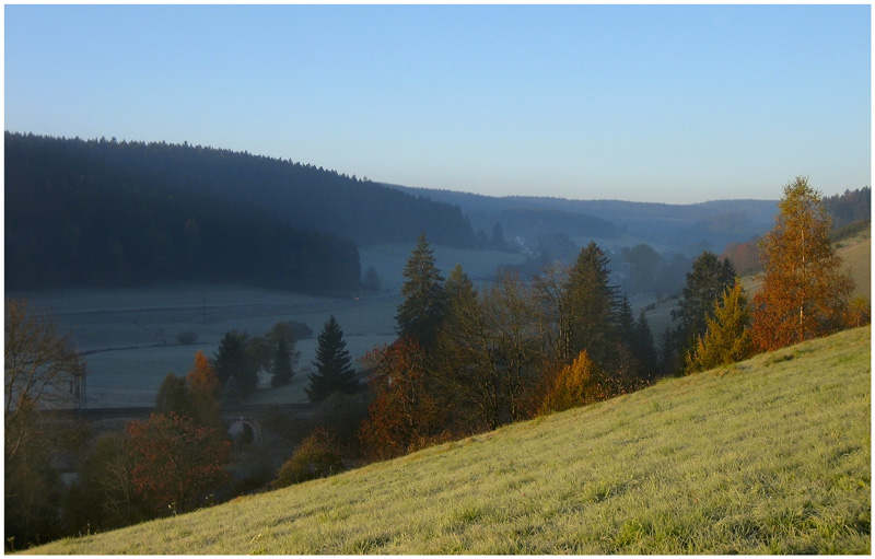 фото "Silence" метки: пейзаж, лес, осень