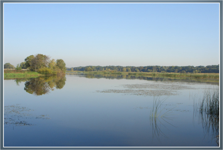 photo "Old channel of the Great river" tags: landscape, water