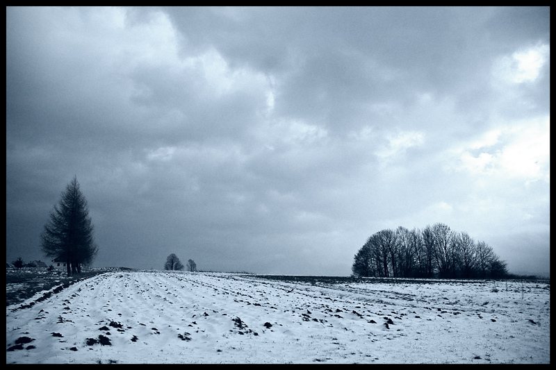 photo "...breathe..." tags: landscape, black&white, 