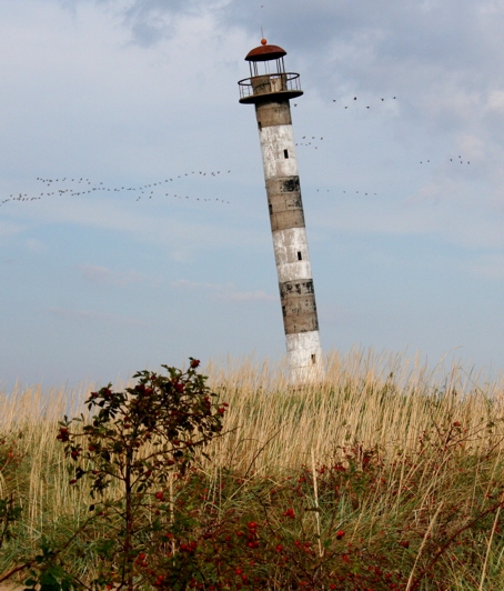 photo "Saaremaa 1" tags: landscape, 