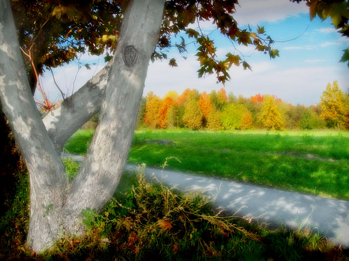 фото "Autumn colors" метки: пейзаж, 