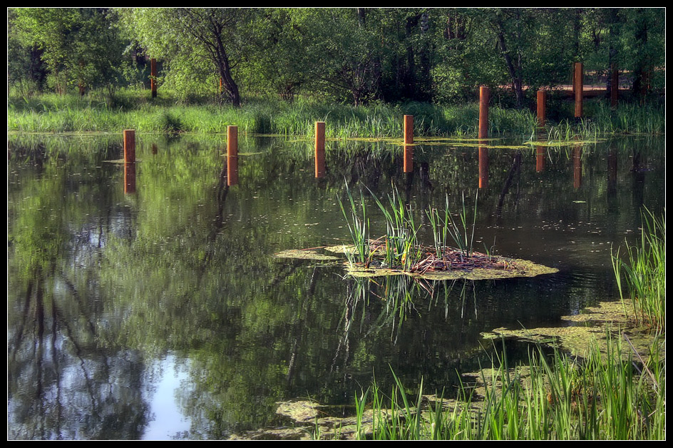 photo "pond" tags: landscape, summer, water