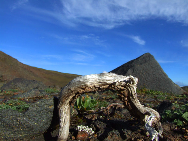 photo "***" tags: landscape, mountains