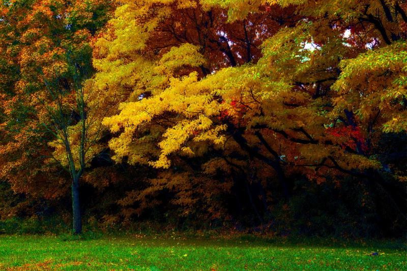 фото "FALL" метки: пейзаж, осень