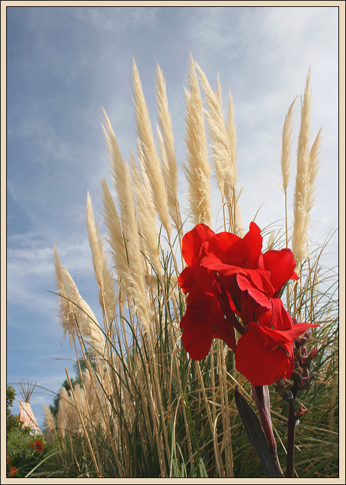 photo "A bright day." tags: nature, flowers