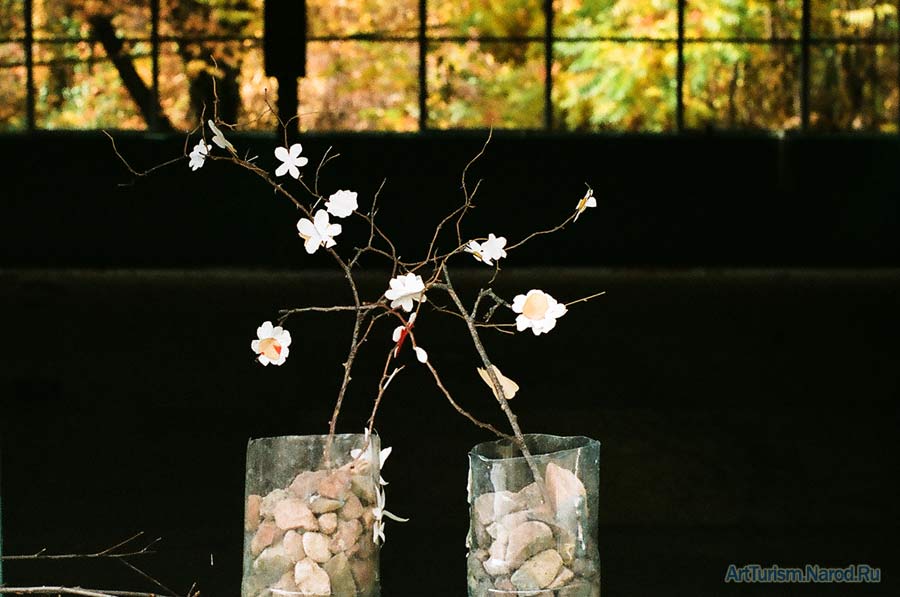 фото "Ты это я - Я это ты" метки: жанр, 