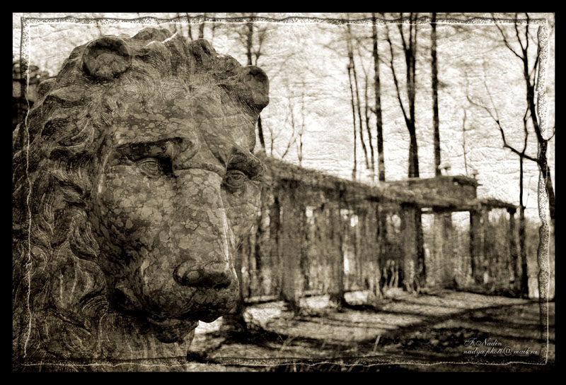 фото "Лев" метки: архитектура, пейзаж, 