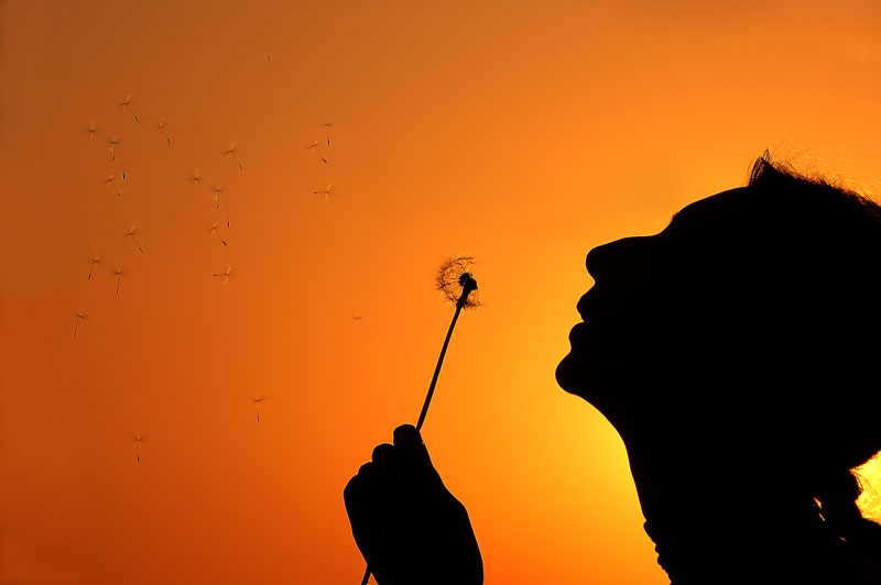 фото "летние парашютики" метки: разное, 