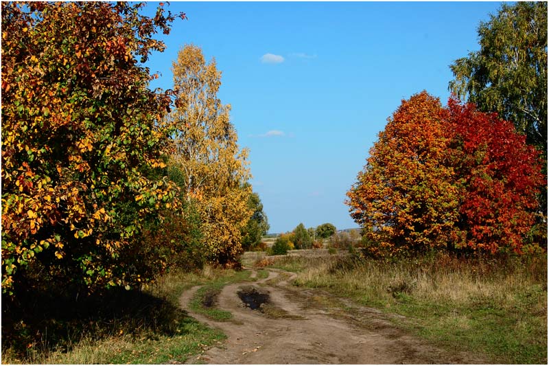 фото "Мой сад" метки: пейзаж, осень