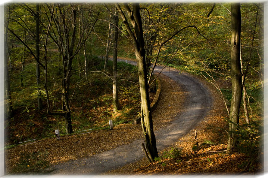 photo "autumn morning" tags: landscape, autumn, mountains