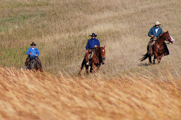 photo "400 Mile Trail Ride" tags: genre, sport, 