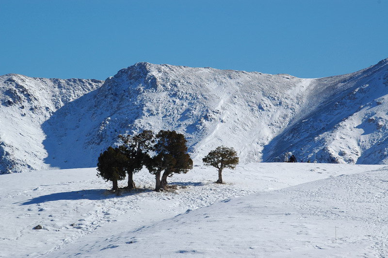 photo "family" tags: landscape, mountains, winter