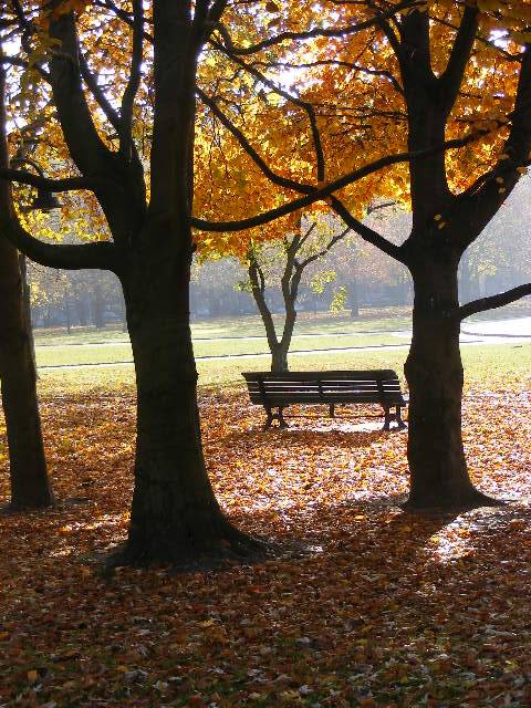 photo "Autumn in Berlin." tags: travel, Europe