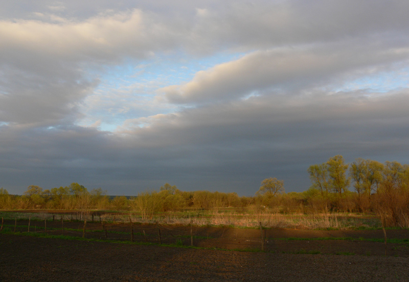 photo "***" tags: landscape, spring