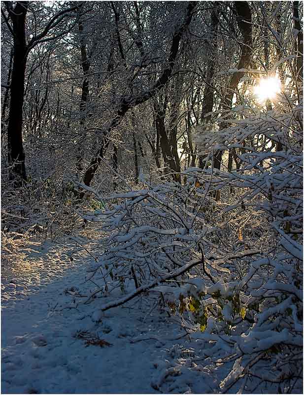 фото "Дорожка к солнцу" метки: , 