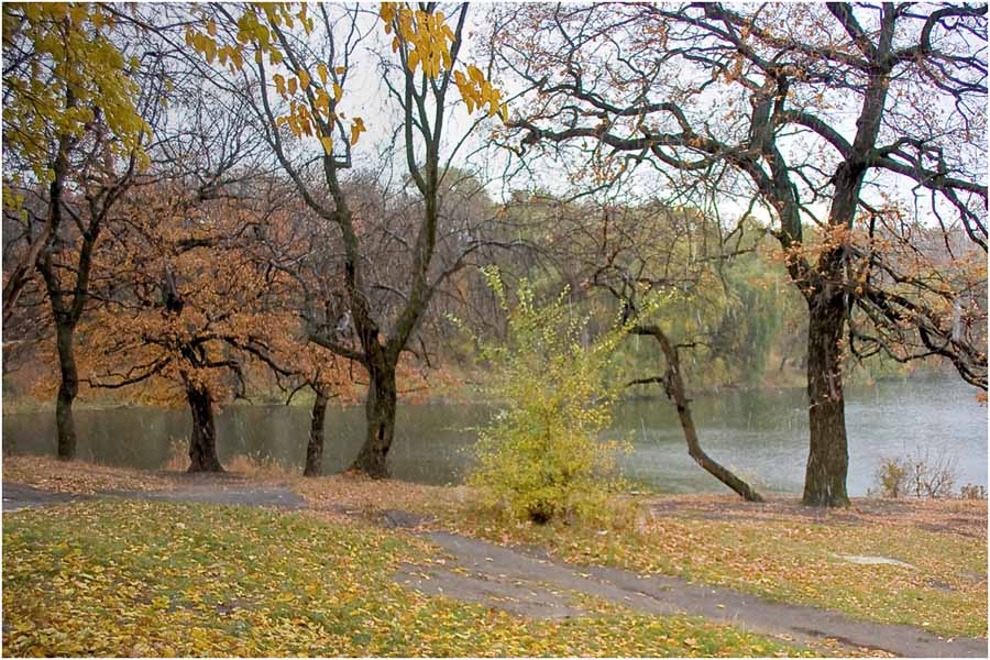 фото "Первый снег" метки: пейзаж, 