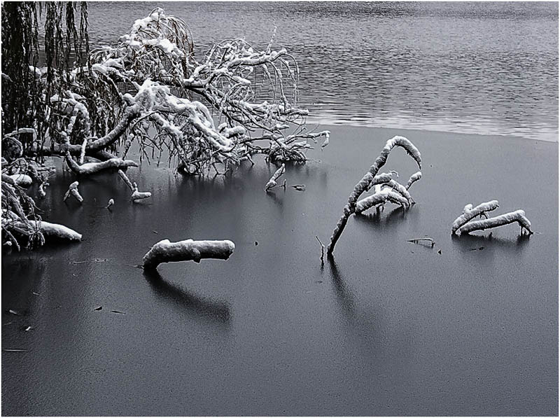 фото "Первый лед" метки: , 