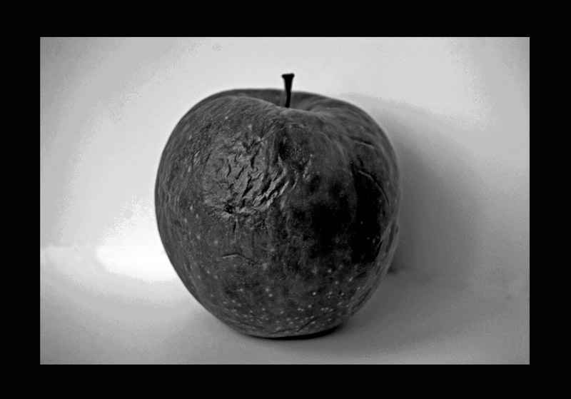 фото "An old apple" метки: , 