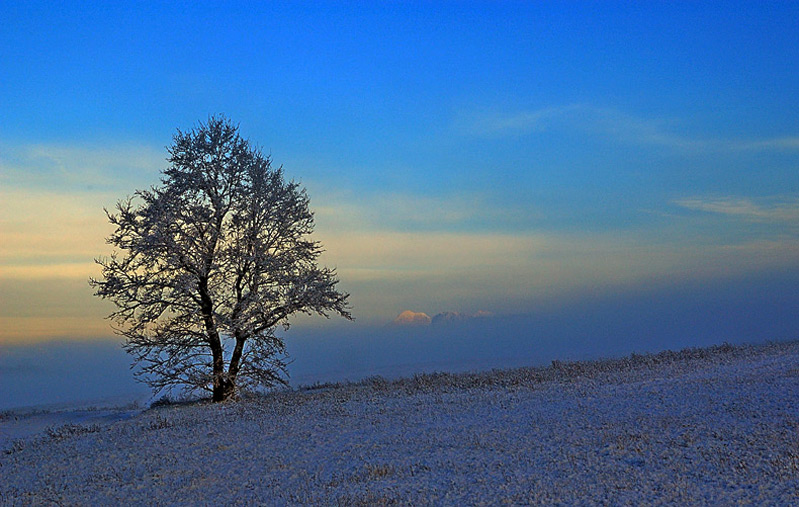 photo "First snow" tags: landscape, mountains, winter