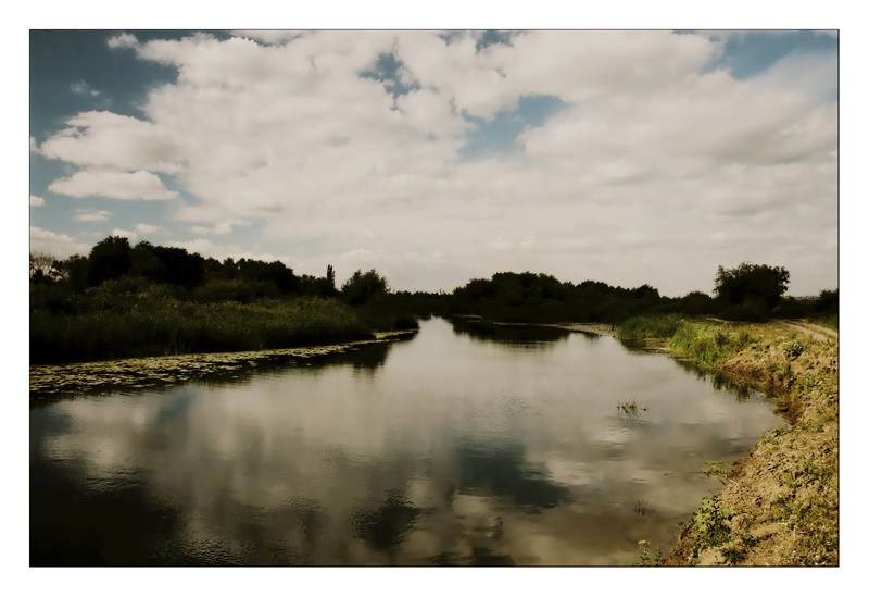 photo "River Or" tags: landscape, summer, water