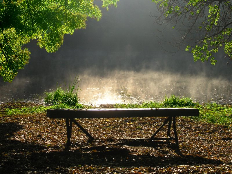 фото "Ранним утром на озере" метки: пейзаж, вода, лес